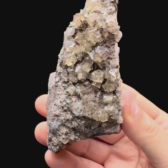 Specimen rotation video 639