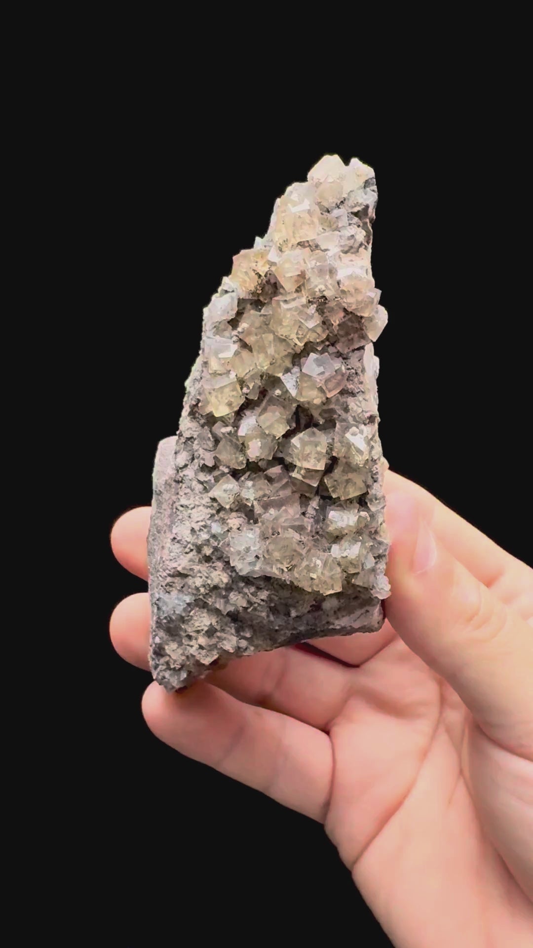 Specimen rotation video 639