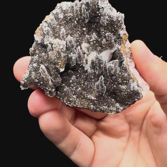 Specimen rotation video 460