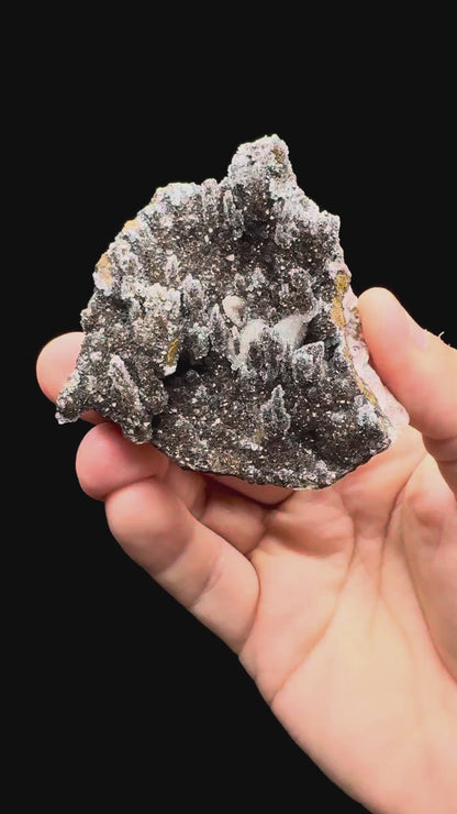 Specimen rotation video 460