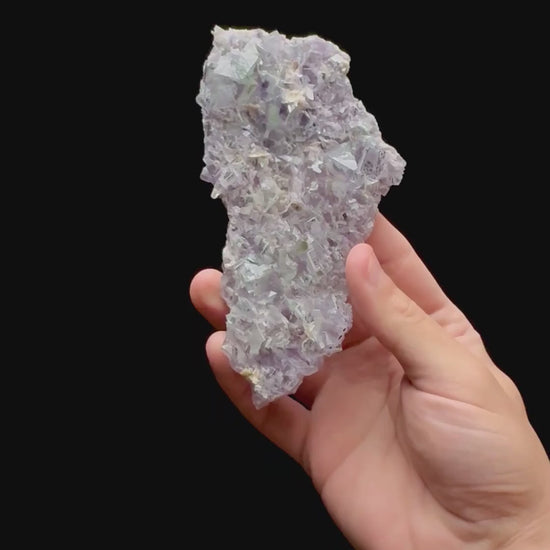 Specimen rotation video 0416