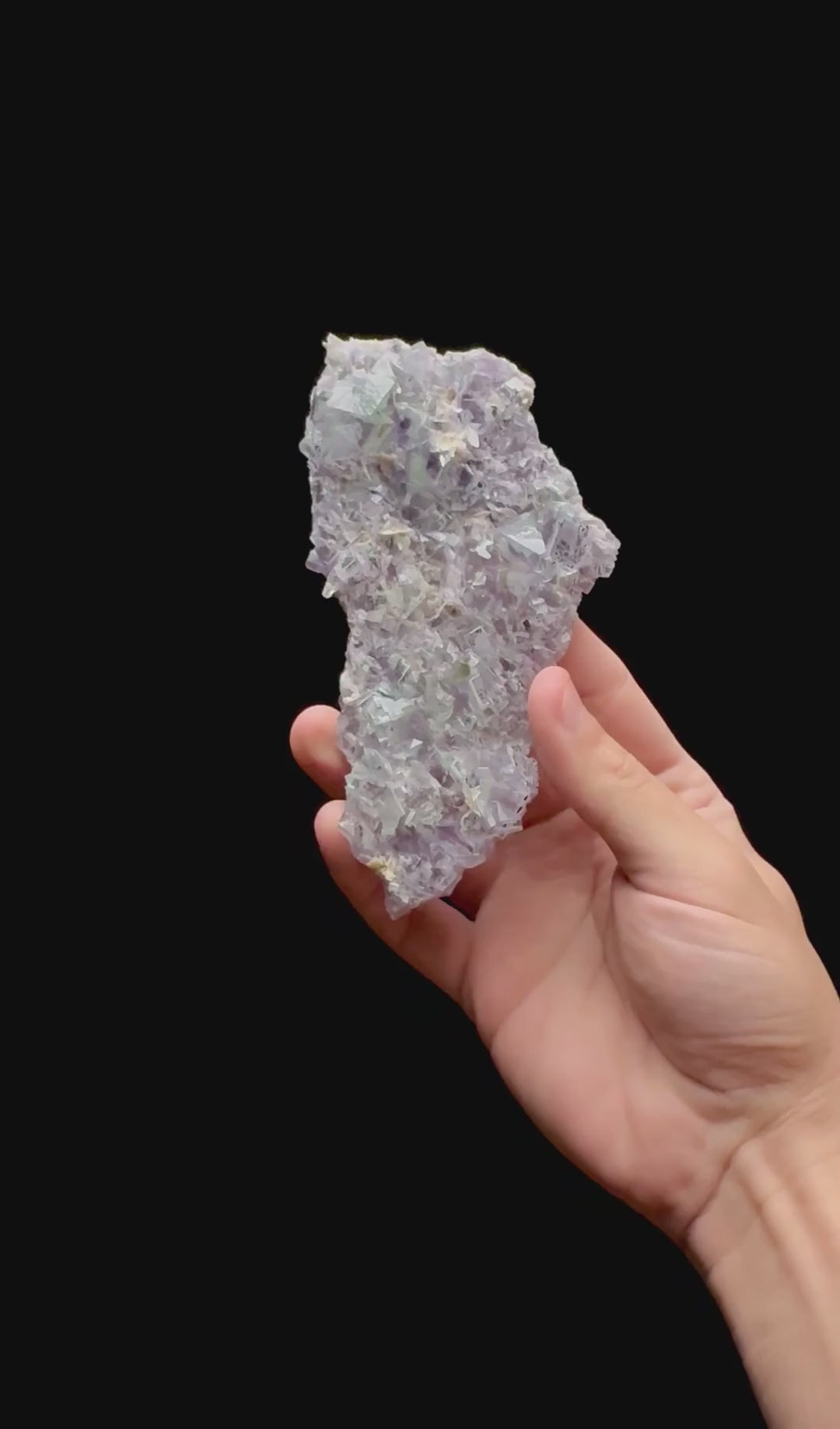 Specimen rotation video 0416