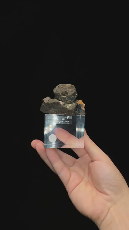Specimen rotation video 0696