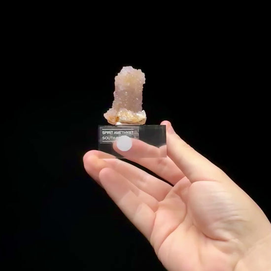 Specimen rotation video 0580