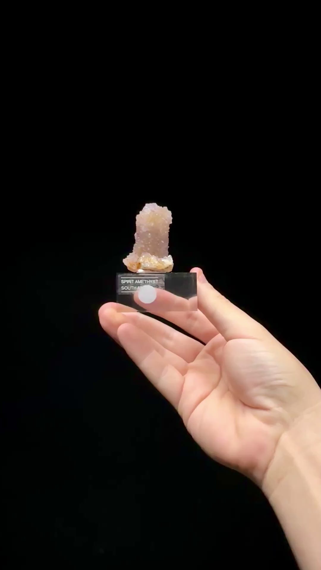 Specimen rotation video 0580