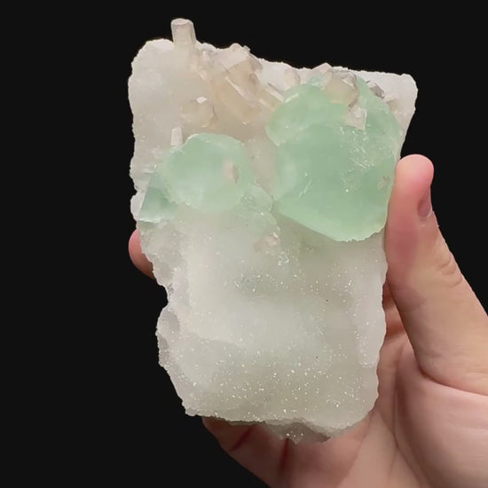 Specimen rotation video 081