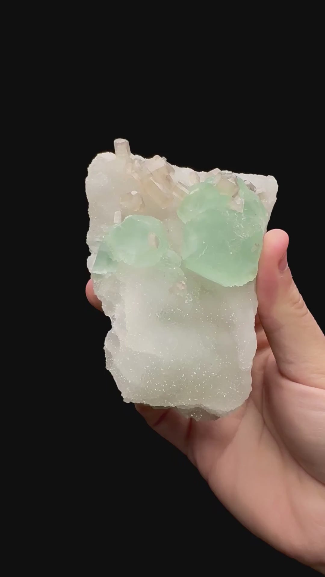 Specimen rotation video 081