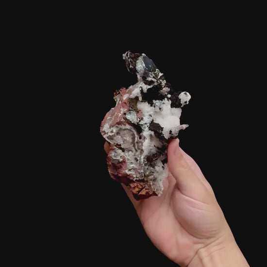 Specimen rotation video 0380