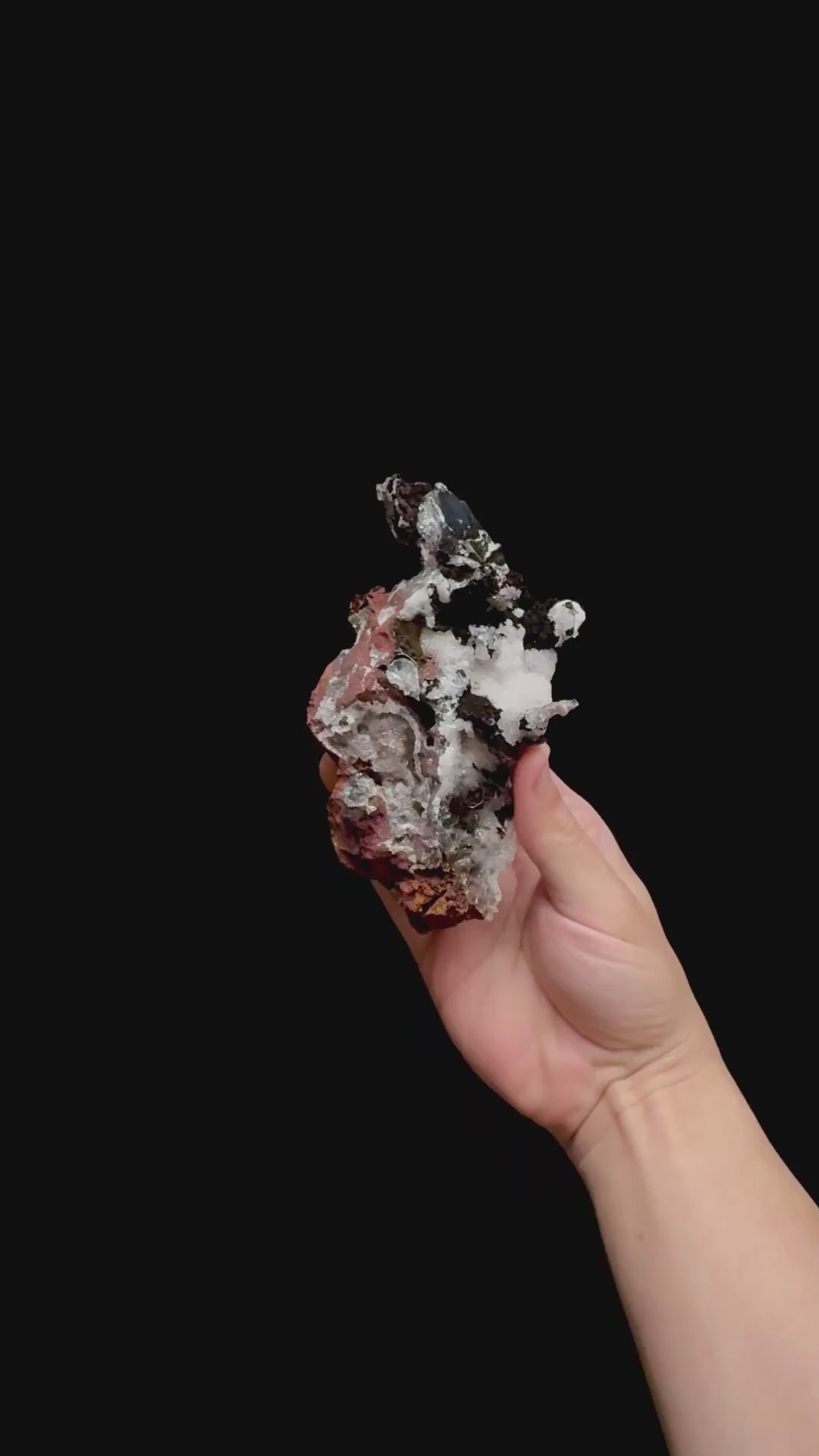 Specimen rotation video 0380