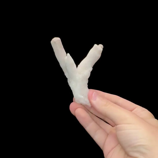 Specimen rotation video 0674