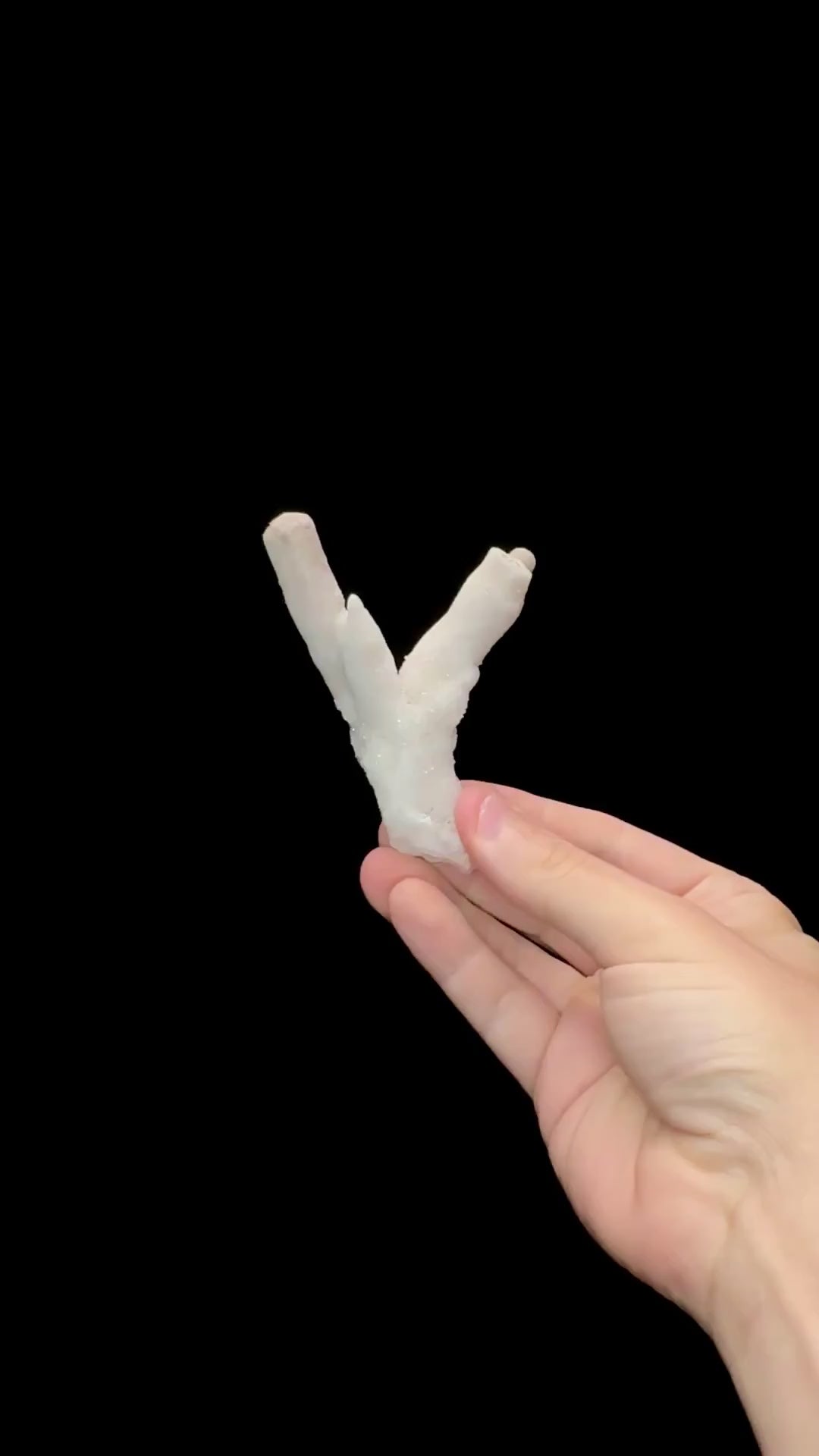 Specimen rotation video 0674