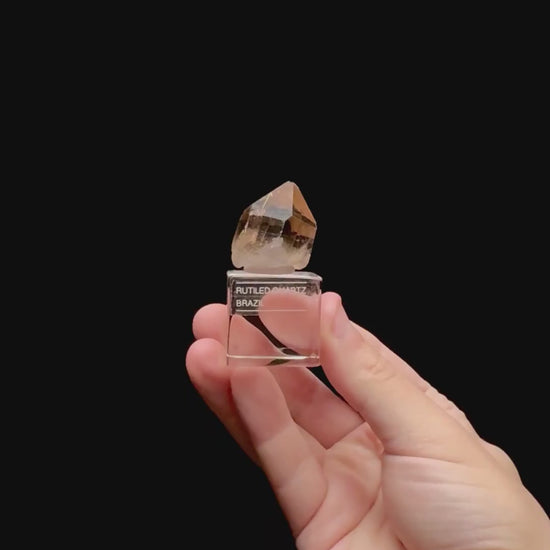 Specimen rotation video 0437