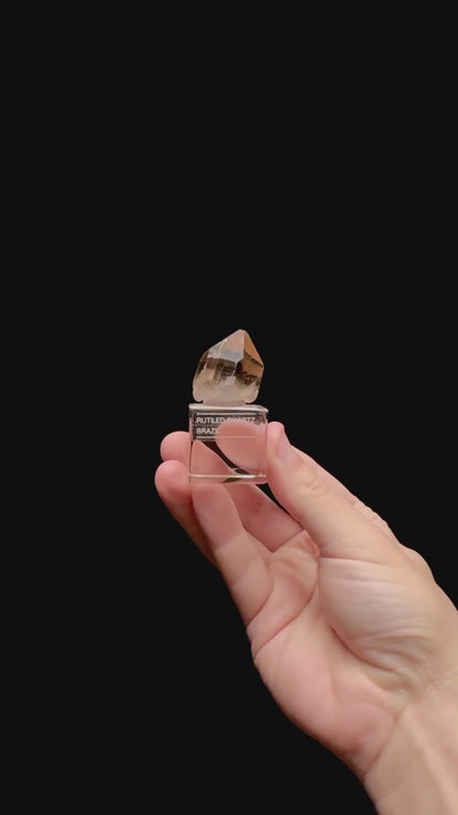 Specimen rotation video 0437