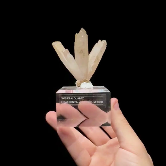 Specimen rotation video 0566