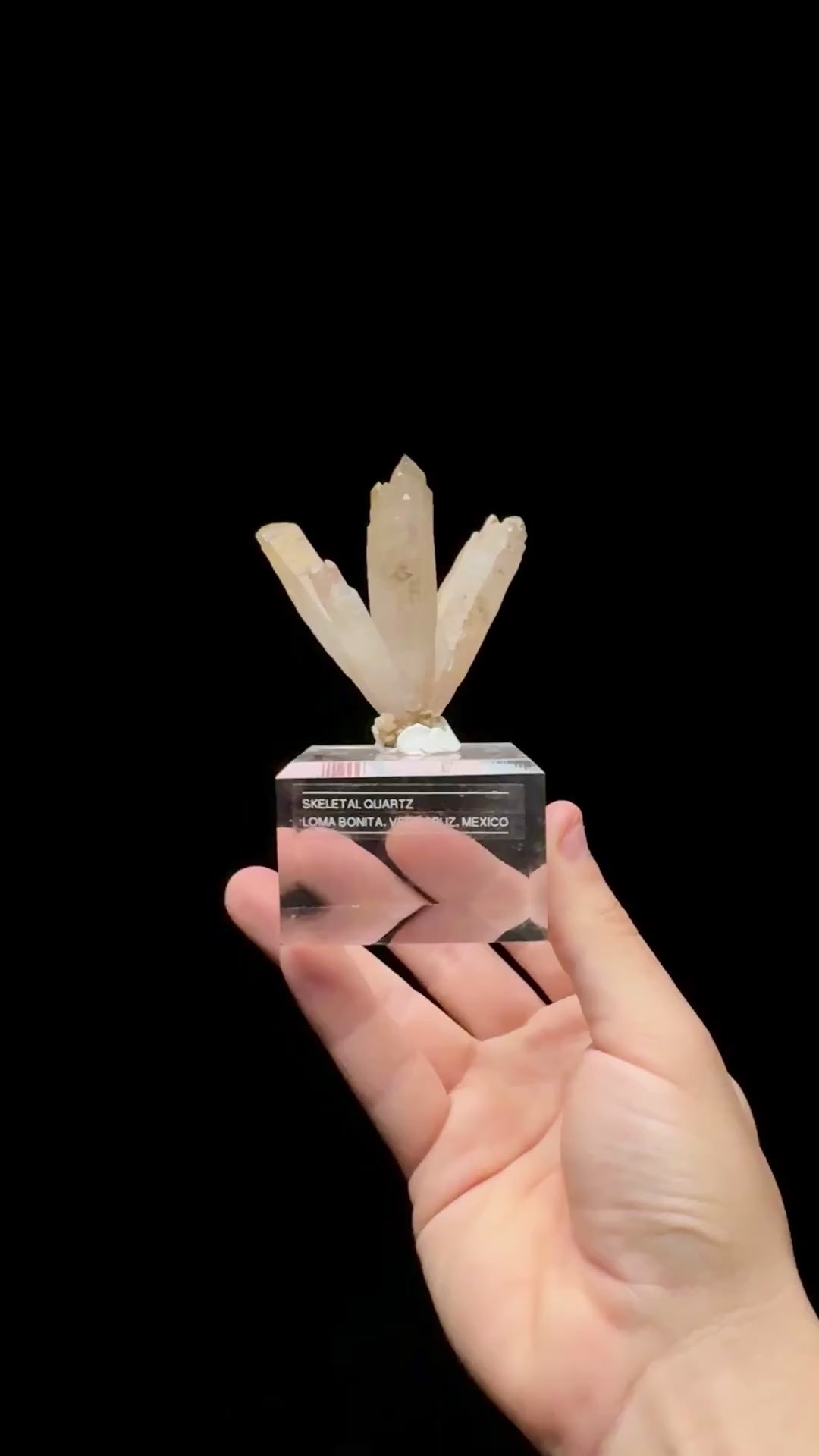 Specimen rotation video 0566