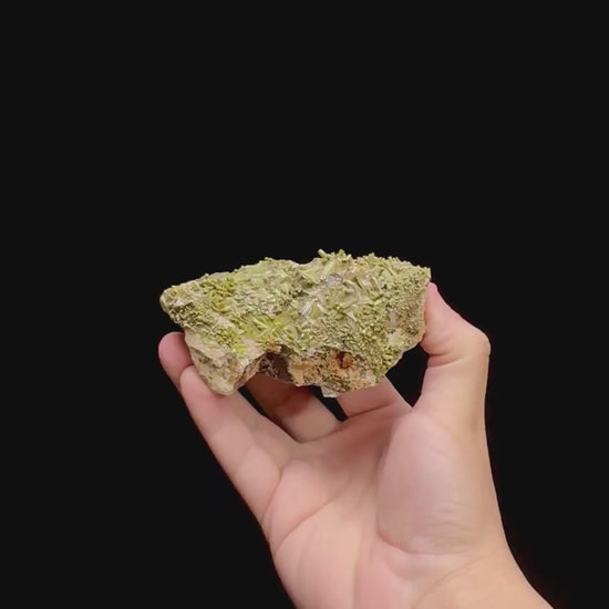 Specimen rotation video 0309