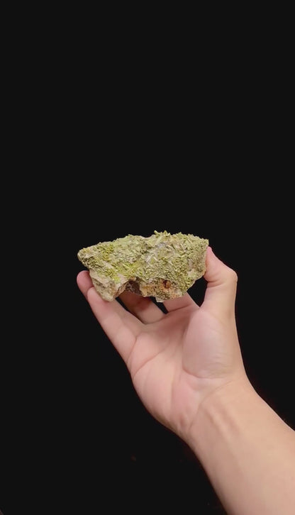 Specimen rotation video 0309