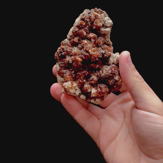 Specimen rotation video 0315