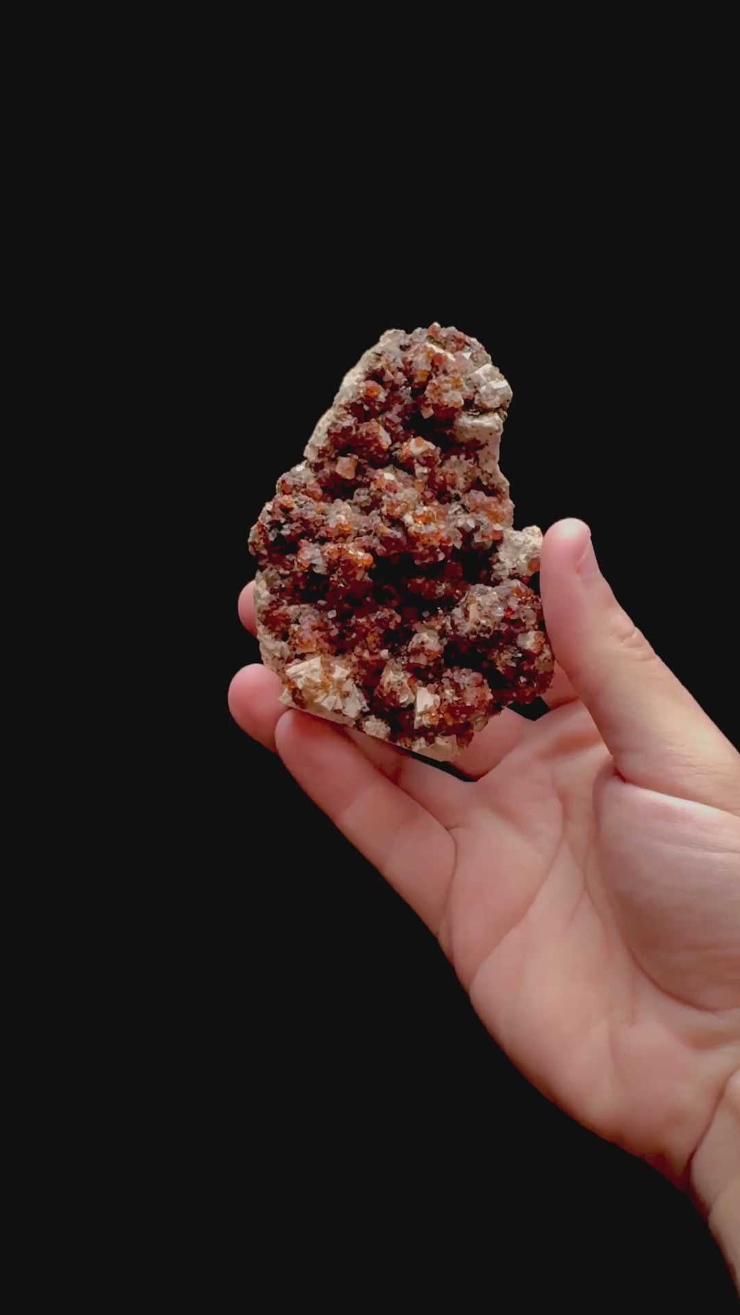Specimen rotation video 0315