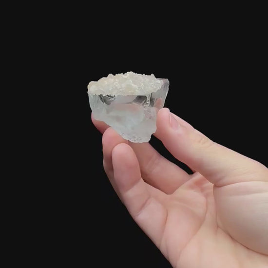 Specimen rotation video 196