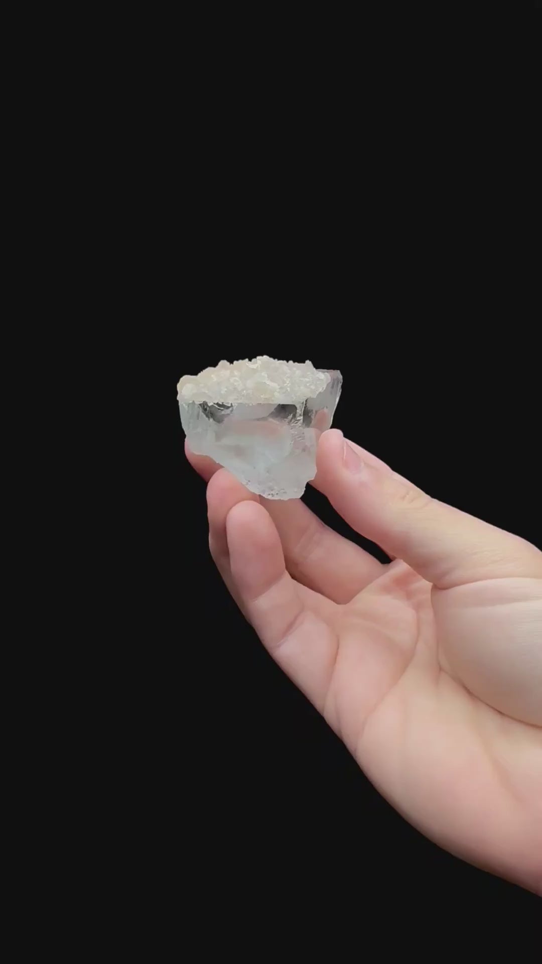 Specimen rotation video 196
