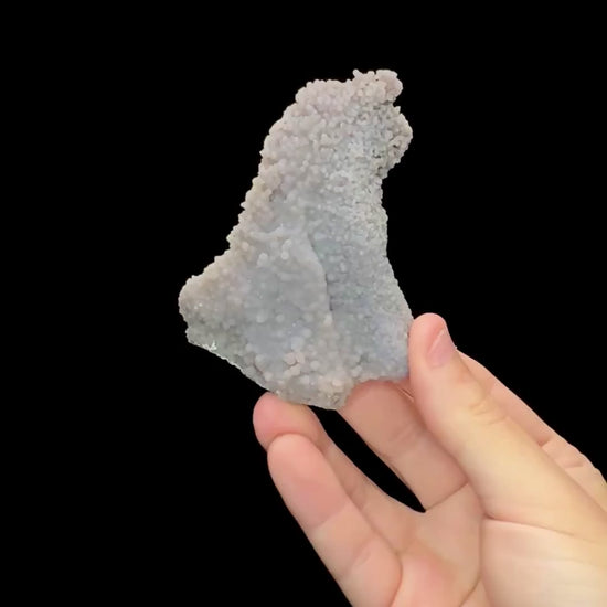 Specimen rotation video 0687
