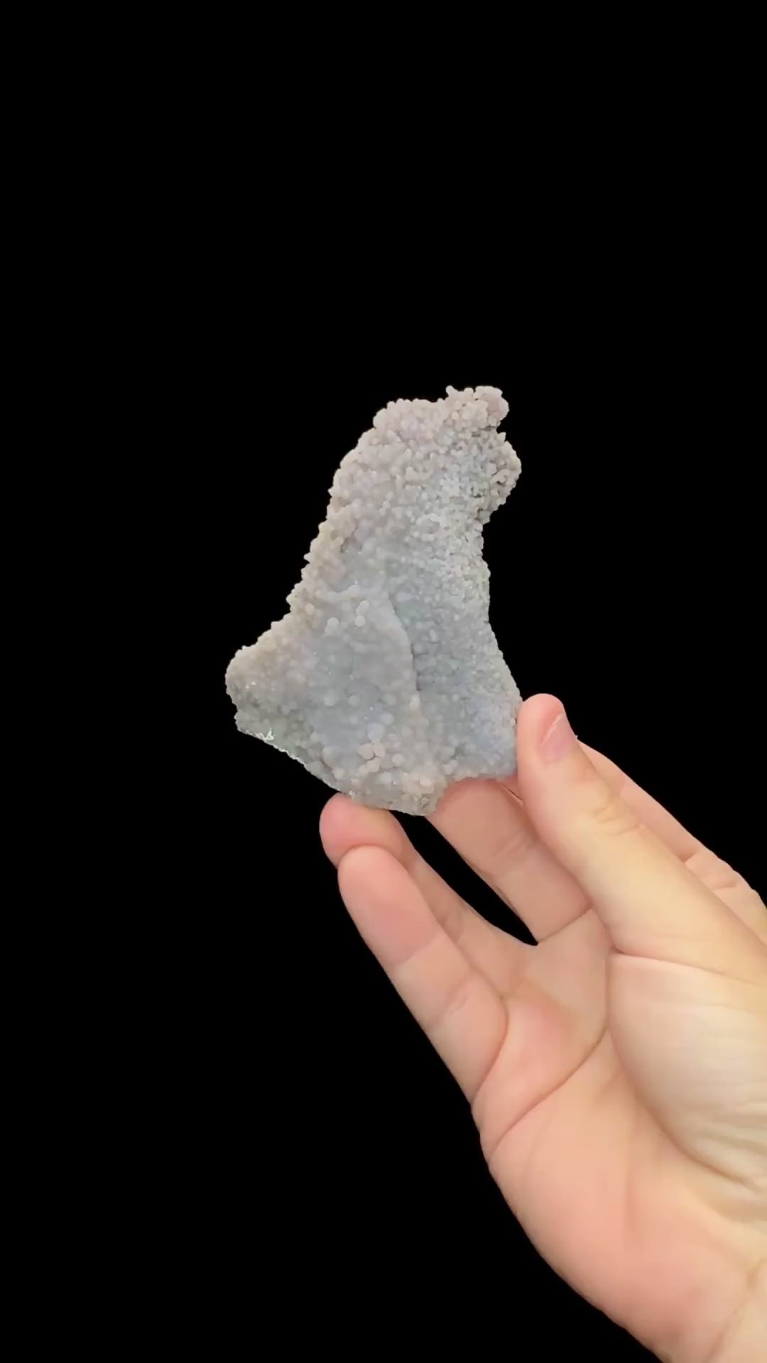 Specimen rotation video 0687