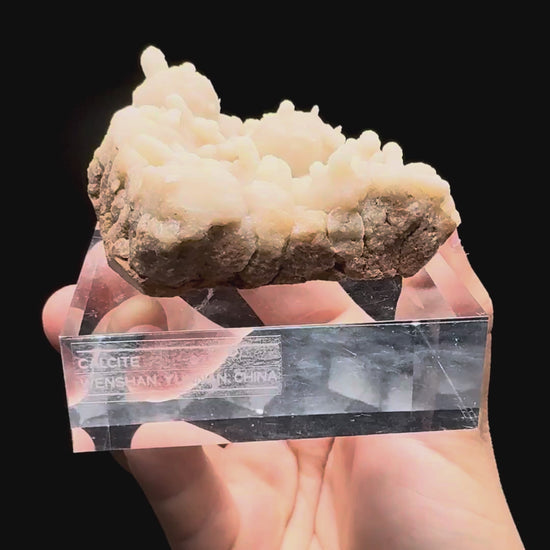 Specimen rotation video 437