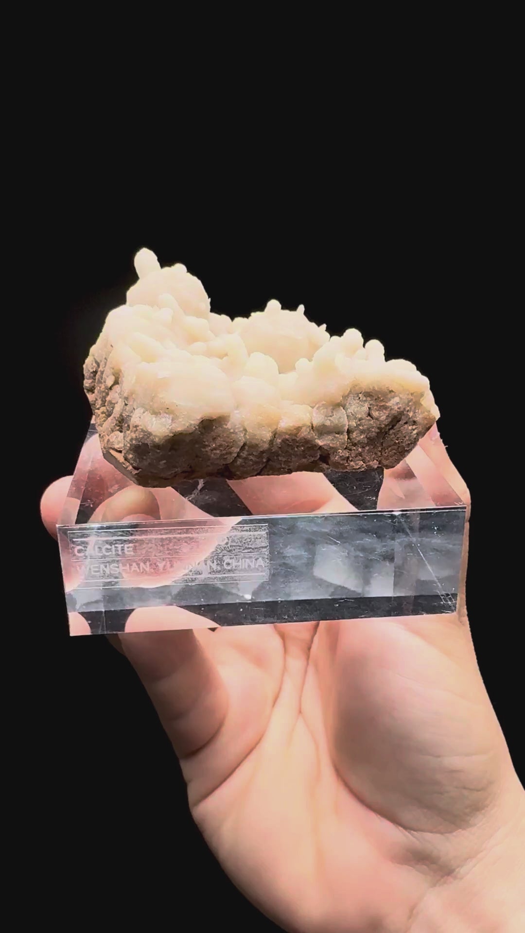 Specimen rotation video 437