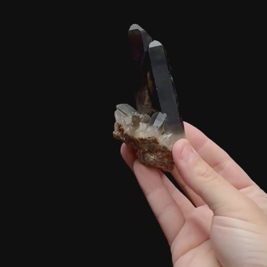 Specimen rotation video 0367