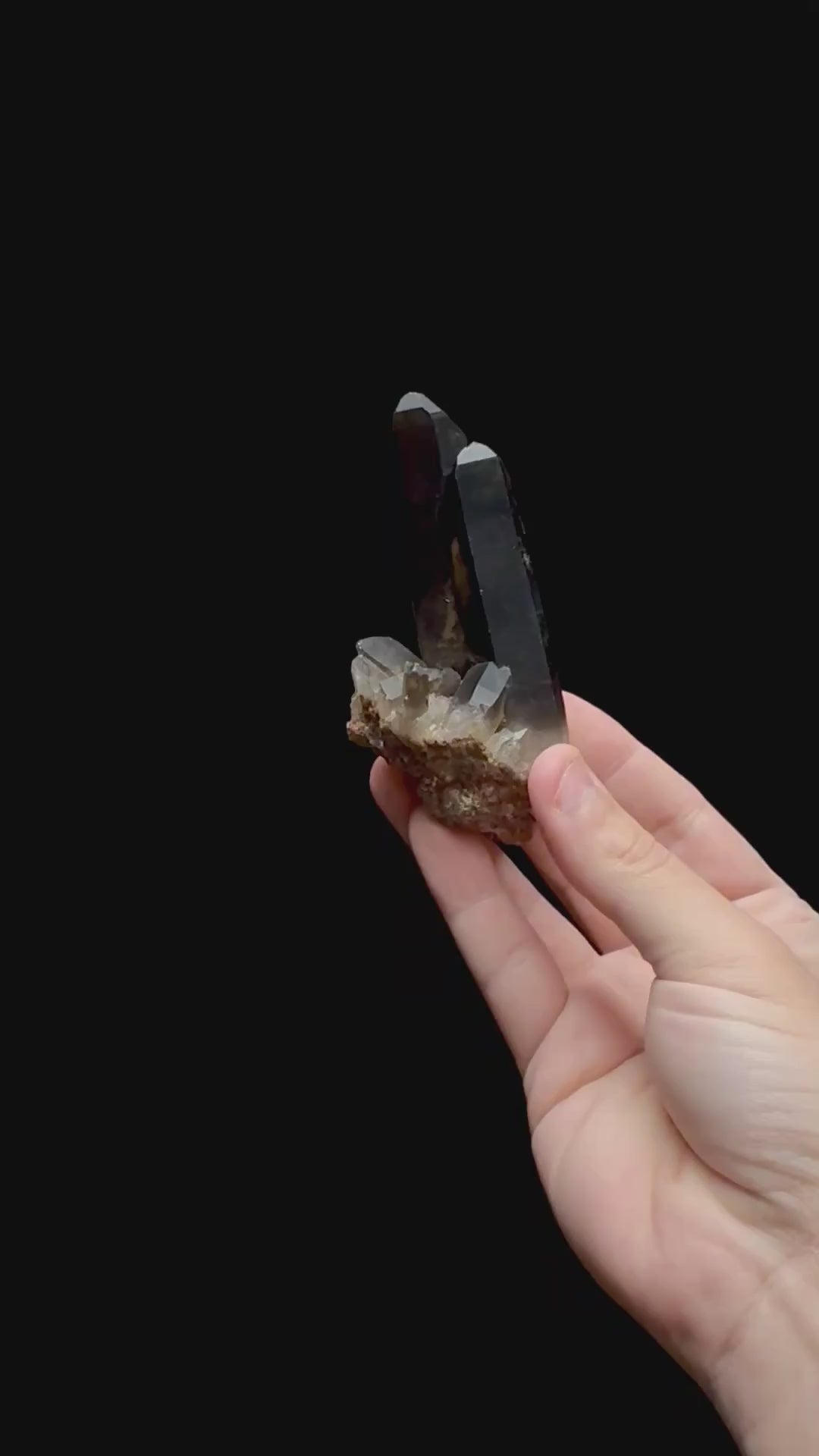 Specimen rotation video 0367