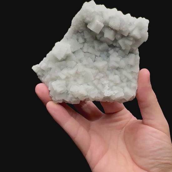 Specimen rotation video 128