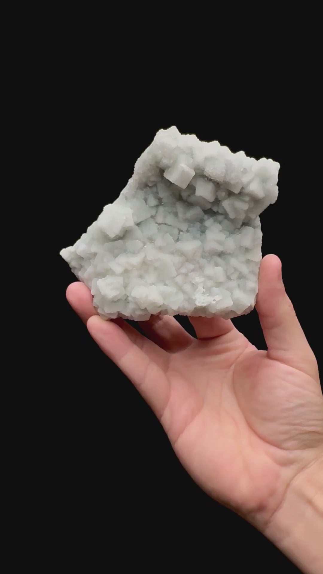 Specimen rotation video 128