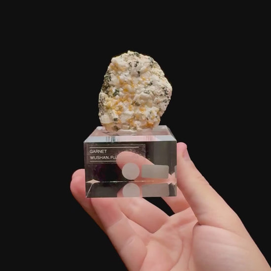 Specimen rotation video 0329