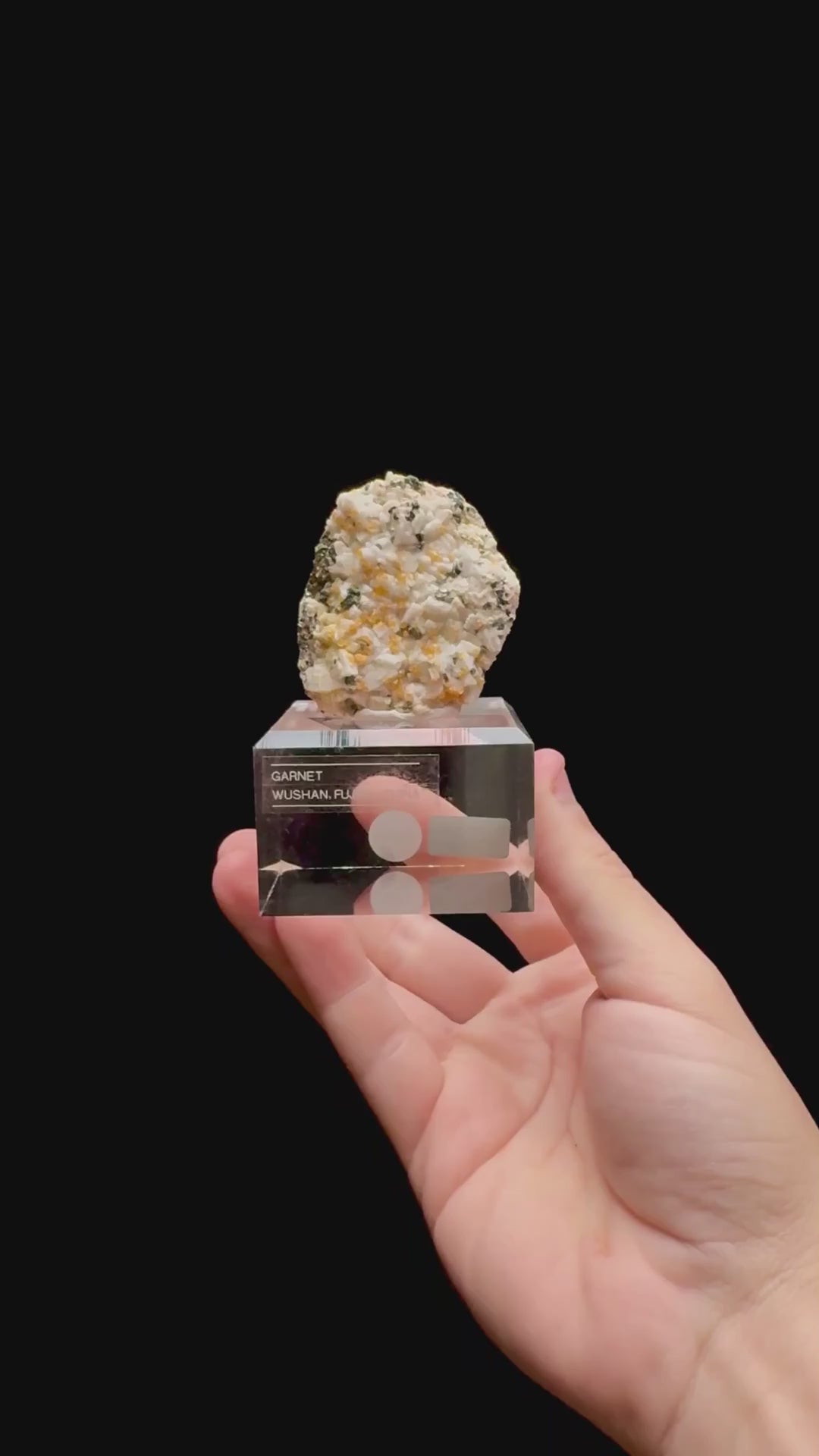 Specimen rotation video 0329