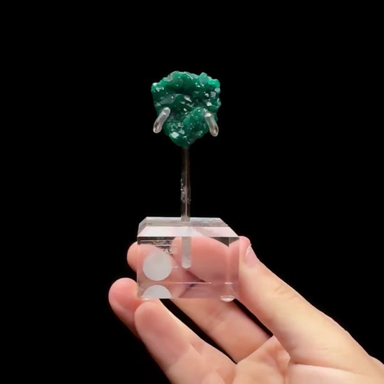 Specimen rotation video 0652