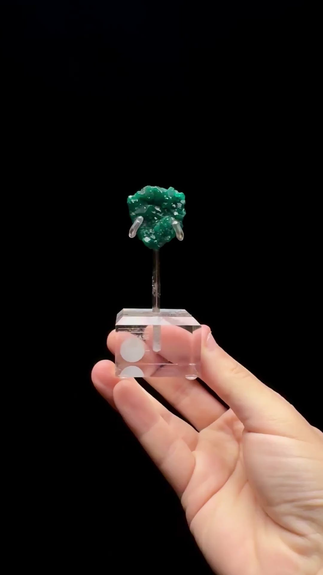 Specimen rotation video 0652