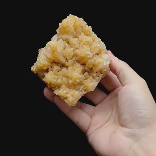 Specimen rotation video 0351