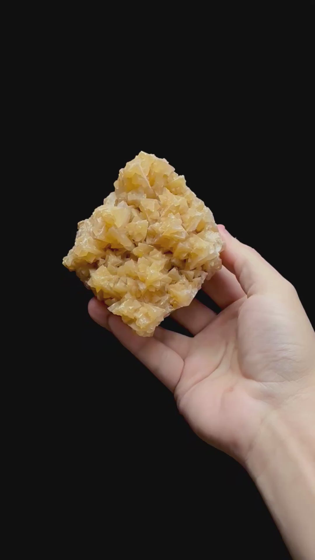 Specimen rotation video 0351