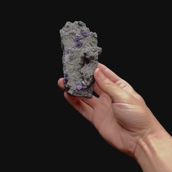 Specimen rotation video 0409