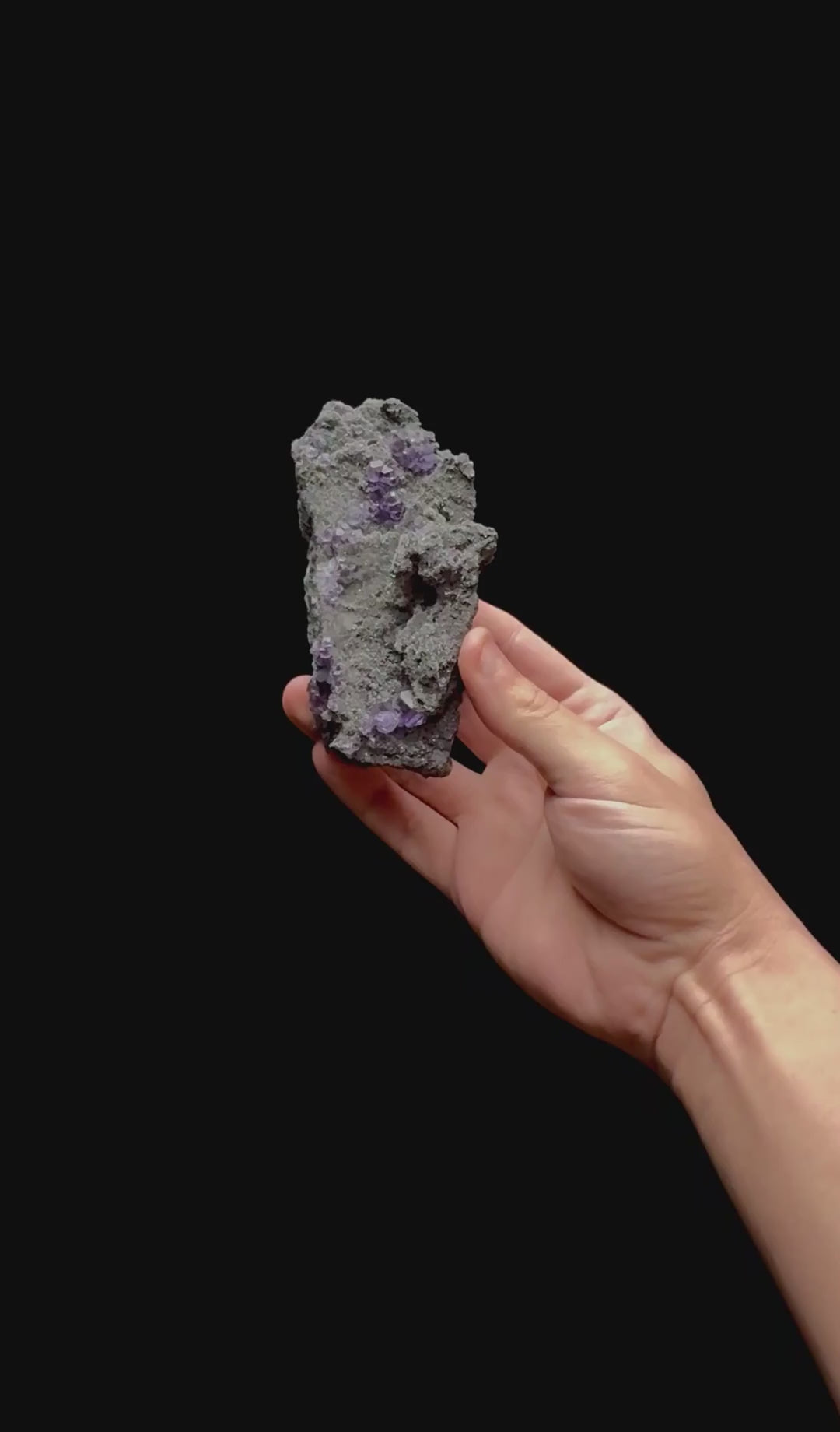 Specimen rotation video 0409