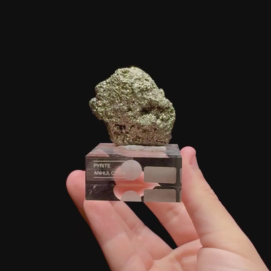 Specimen rotation video 0323