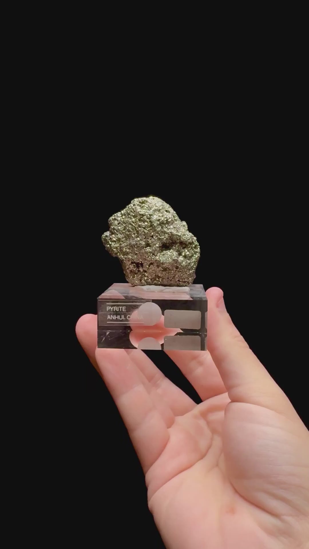 Specimen rotation video 0323