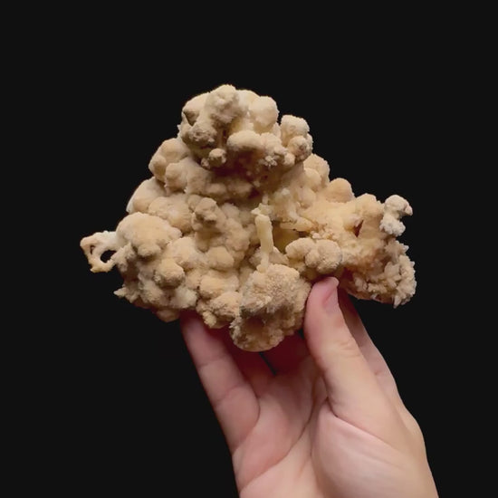 Specimen rotation video 0478