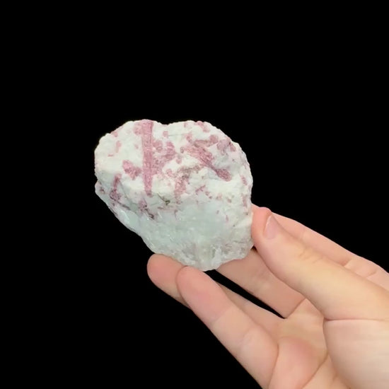 Specimen rotation video 0675