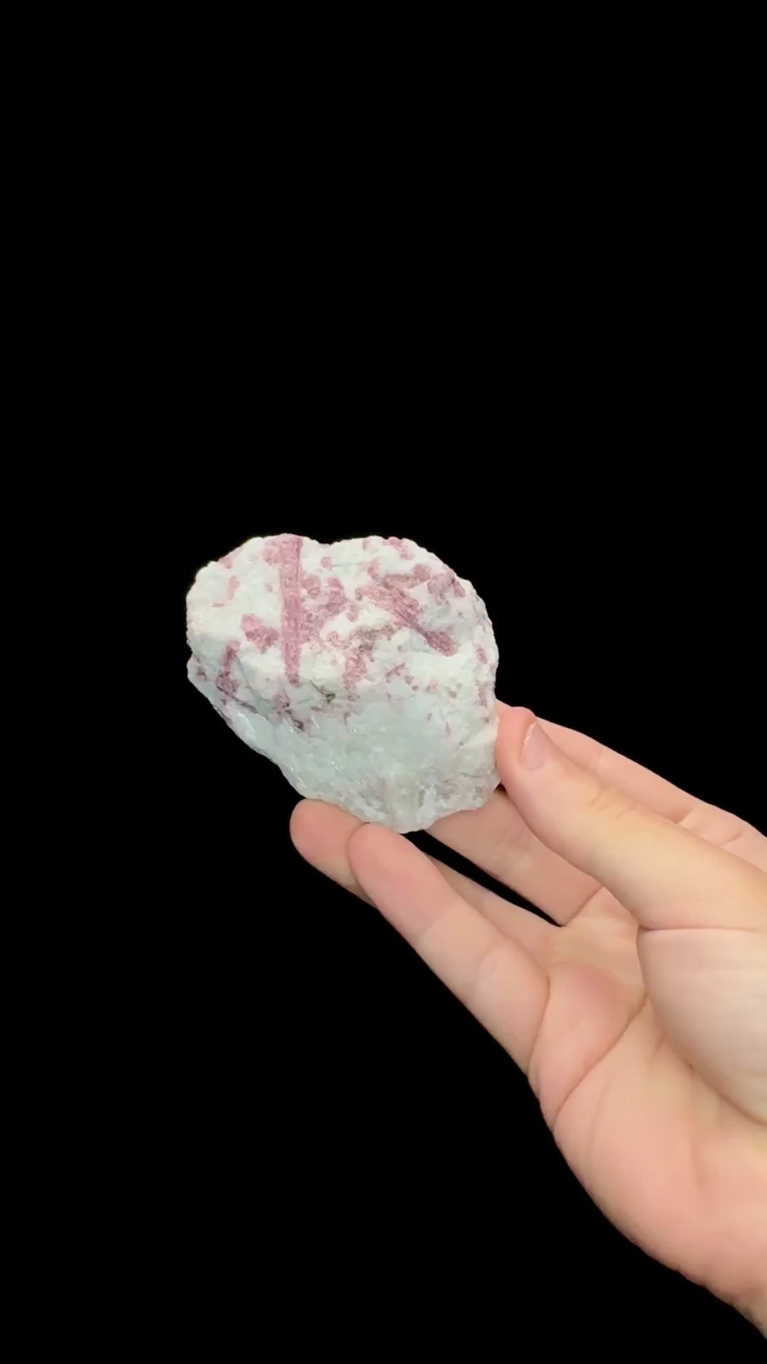 Specimen rotation video 0675