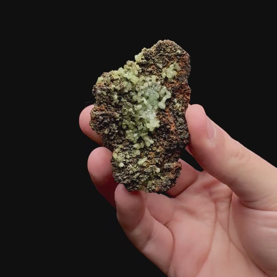 Specimen rotation video 111
