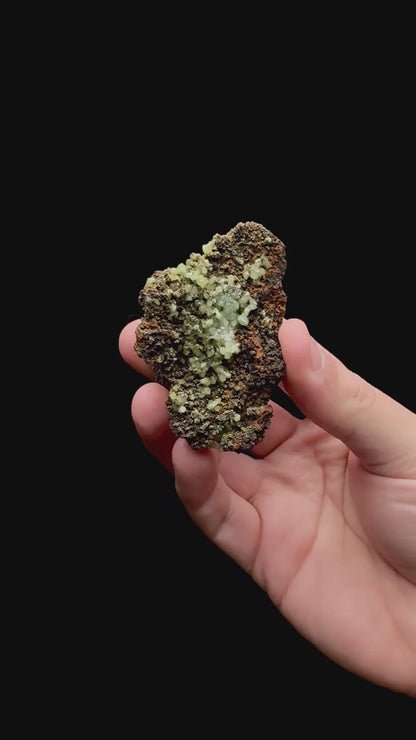Specimen rotation video 111