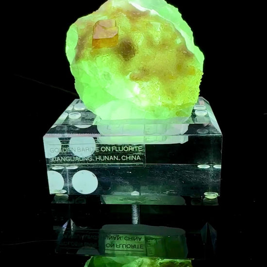 Specimen rotation video 0642