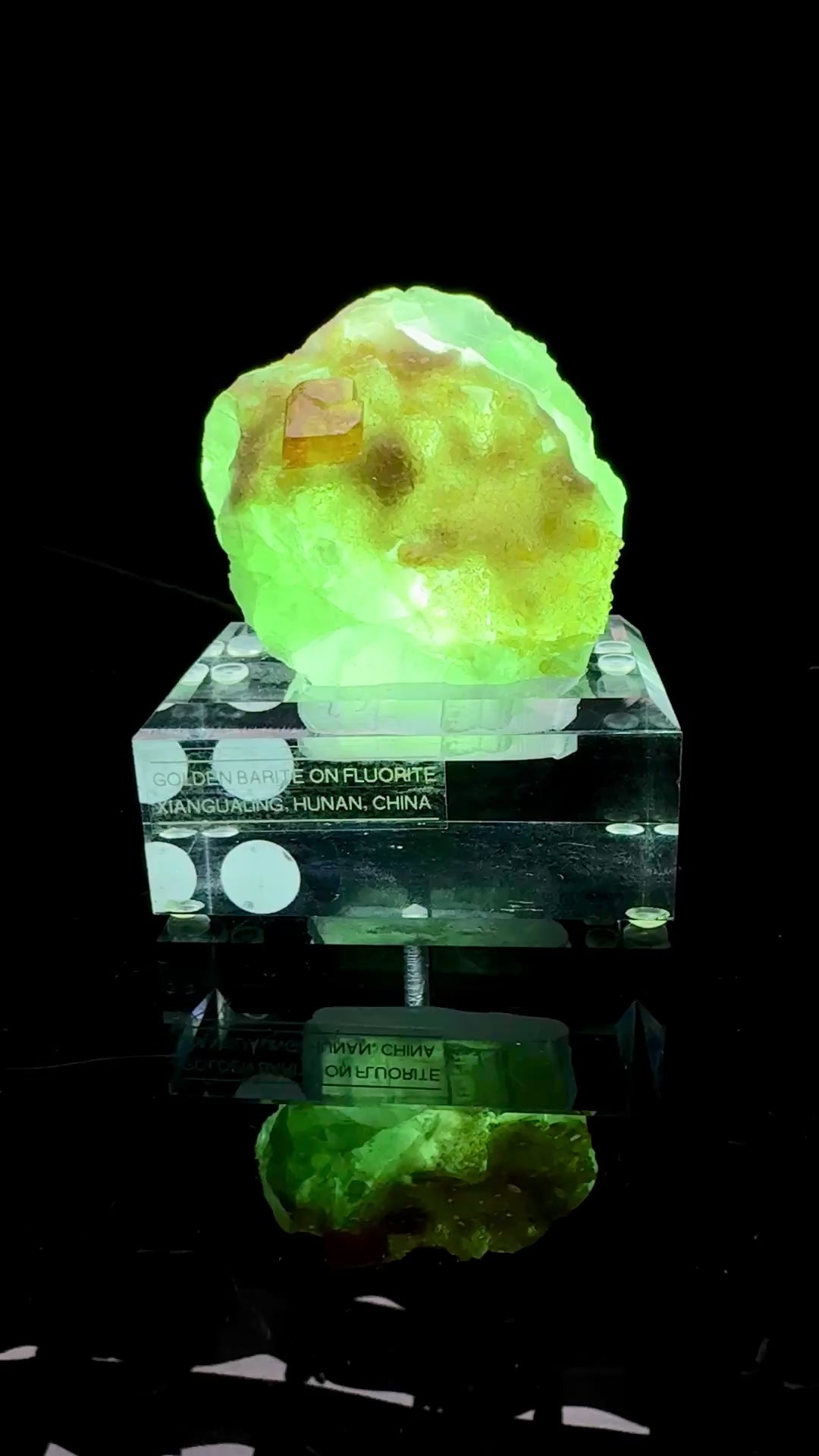 Specimen rotation video 0642